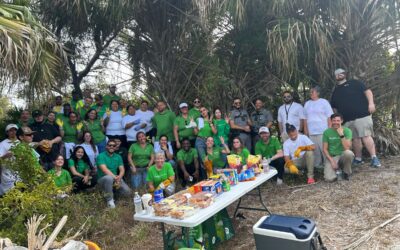 Bayshore CRA in Action