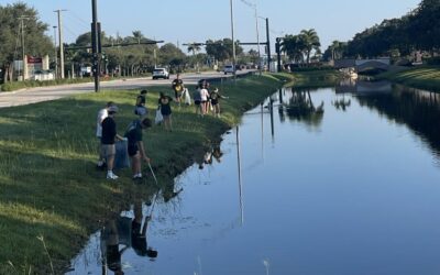 Love Your Waterways: Protecting Collier’s Canals