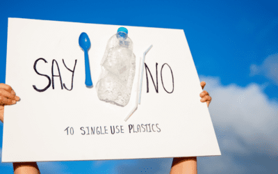 Breaking Up with Plastic: Reducing Single-Use Plastics in Collier County
