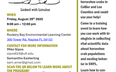 Join the Florida Horseshoe Crab Watch Workshop!